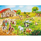 Pony Farm