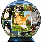 A Dog's World