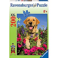 200 Piece Gorgeous Golden