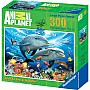 Animal Planet  Underwater