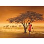 African Masai