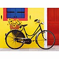 Flowery Bicycle