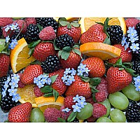 Fruitful Bounty 1000
