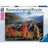 On the River Rhine