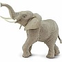 African Elephant (Large)