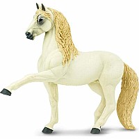 Andalusian Stallion