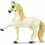 Andalusian Stallion