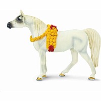 Arabian Mare