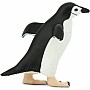 Chinstrap Penguin