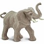 African Elephant (raised trunk)