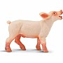 Piglet
