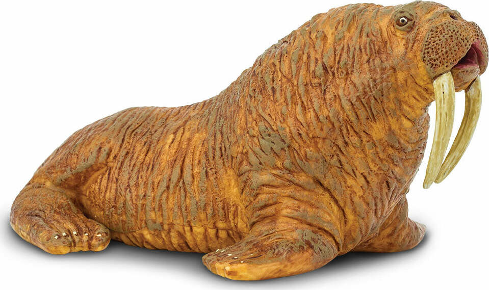 walrus soft toy