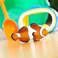 Clown Anemonefish