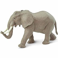 African Elephant