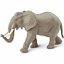 African Elephant