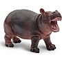Hippopotamus Baby