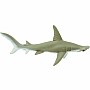 Hammerhead Shark