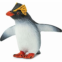 Rockhopper Penguin