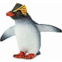 Rockhopper Penguin