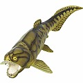Dunkleosteus