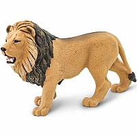 Angolan Lion