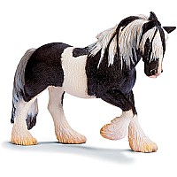 Tinker Mare
