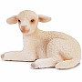 Lamb, lying