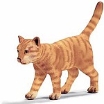 Cat, Walking