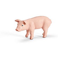 Piglet, Standing