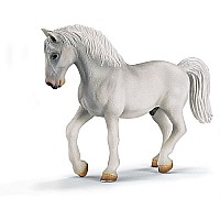 Lipizzaner Stallion