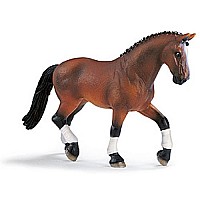 Hanoverian Mare, Dressage