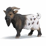 Mini Billy Goat
