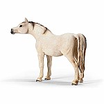 Arabian Mare