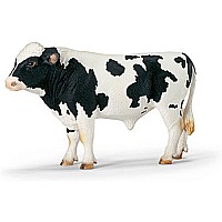 Holstein Bull