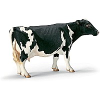 Holstein Cow