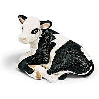 Holstein Calf, Lying