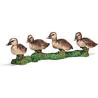Duckling