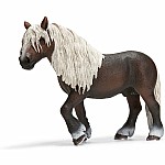 Black Forest Stallion