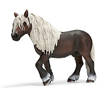 Black Forest Stallion New Jan