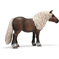 Black Forest Mare