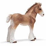 Clydesdale Foal