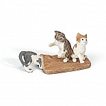 Kittens