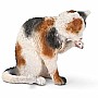 Cat, Grooming