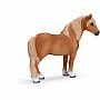 Dartmoor Pony Stallion
