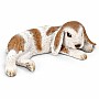 Dwarf Lop, Lying