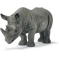 African Black Rhino