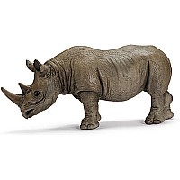 African Black Rhino