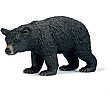 Black Bear female