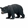 Black Bear female