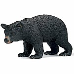 Black Bear, Female